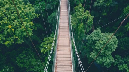 Treetop trekking through a canopy walkway.