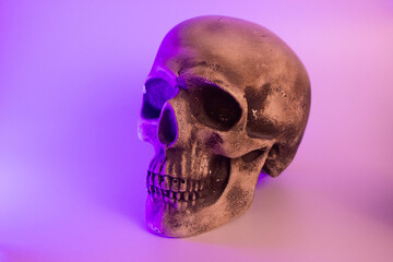 The artificial skull sits ominously, its hollow eyes and gaping mouth creating an eerie presence....