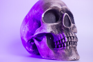 The artificial skull sits ominously, its hollow eyes and gaping mouth creating an eerie presence....