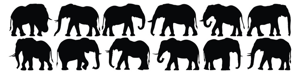 Fototapeta premium Elephant silhouettes set, pack of vector silhouette design, isolated background