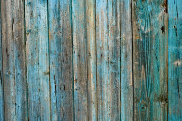 Weathered wood old panel, aged, dilapidated cracked surface with grungy texture, flaking fade paint cyan blue hues. Decay, erosion decrepit plank or floorboard. Ancient board with chipped and peeling