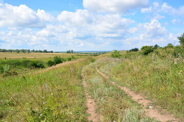 Fototapeta premium a dirt road leads to a field with a blue sky and clouds 