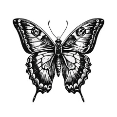 Old engraving style vector illustration