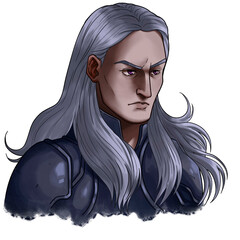 Fantasy Silver Haired Knight Man Portrait