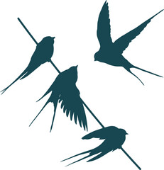 Vector image. Swallows on electric wires.