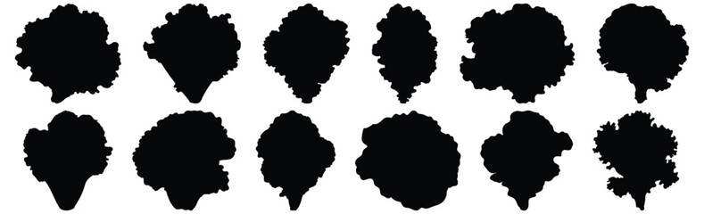 Lettuce silhouette set vector design big pack of vegetable illustration and icon