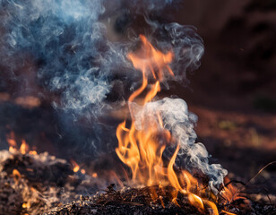 Close-Up of Smoke Rising from a Fire