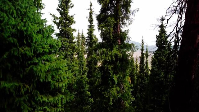 The video shows the drone rising from the bottom up showing the beauty of the mountains in the Turgen Mountains called Assi