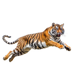 Leaping Tiger, Transparent background