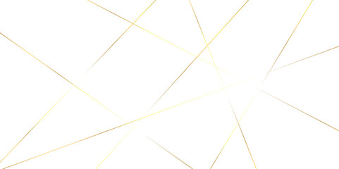 Abstract red and golden color line straight Vector in white background. geometric random chaotic line design with transparent background Vector Illustration.	