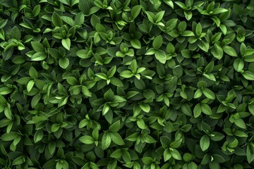 A calming and uplifting image featuring a bright green background that evokes feelings of growth and vitality. Perfect for wellness and nature-inspired designs.