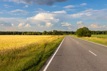 A road with a tree in the middle of it