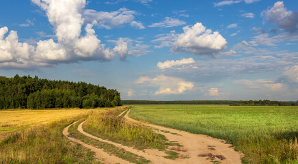 A road runs through a field of green grass and trees