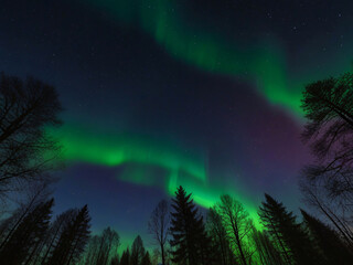 Colourful Vibrant Aurora Borealis Northern Lights Dancing In The Skies Above Forest Mountains And Lake Landscape
