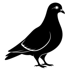 Pigeon Black silhouette