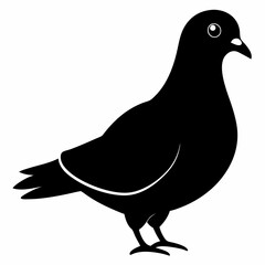 Pigeon Black silhouette