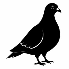 Pigeon Black silhouette