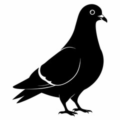 Pigeon Black silhouette