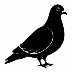 Pigeon Black silhouette