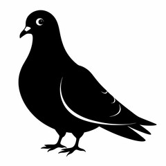 Pigeon Black silhouette