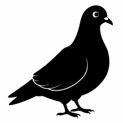 Pigeon Black silhouette