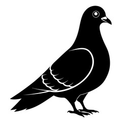 Pigeon Black silhouette