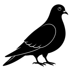 Pigeon Black silhouette