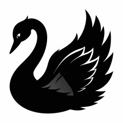 Fototapeta premium Swan Black silhouette