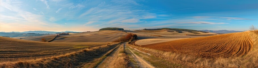 Obraz premium Autumnal Landscape with Rolling Hills and a Dirt Road