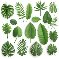 A collection of green leaves, including palm leaves, ferns