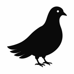 Dove Black silhouette
