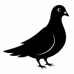 Dove Black silhouette