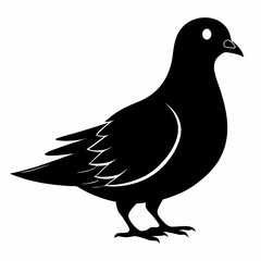 Dove Black silhouette