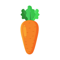 Carrot flat vector illustration isolated on white background