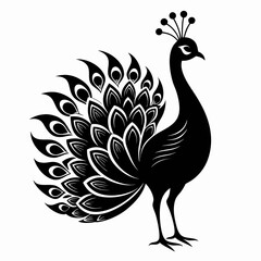 Peacock Black silhouette