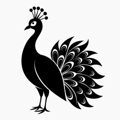 Peacock Black silhouette