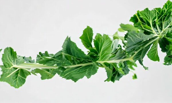 Creative cooking with Gen Alpha: Making healthy kale chips at home