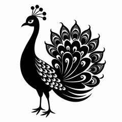 Fototapeta premium Peacock Black silhouette