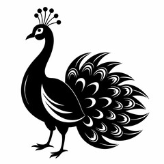 Fototapeta premium Peacock Black silhouette