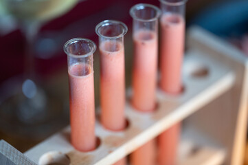 Geeistes Süppchen im Reagenzglas von Wassermelone und Gurke