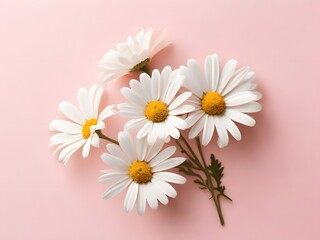 bouquet of white daisies
