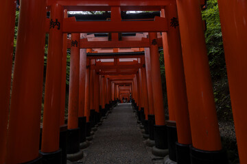 Torii gates at Fushimi Inari-Taisha sanctuary,Kyoto, Japan