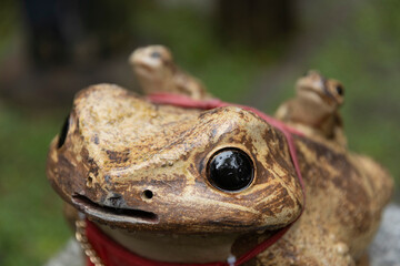 Japanese from statue in shrine 