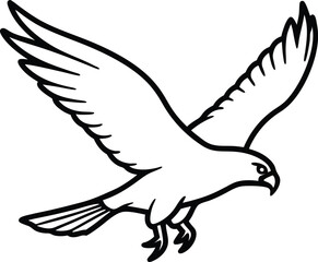 Fototapeta premium illustration of a hawk , Hawk Silhouette , Hawk line art