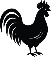 rooster isolated on white background ,  Rooster Silhouette