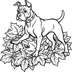 black and white dog , Boxer Silhouette in Autumn Leaves , Boxer Silhouette 