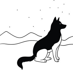 black and white dog , Husky and Aurora Borealis Silhouette.