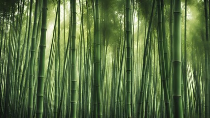 Green Corridor The Charm of Bamboo Nature