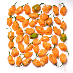 Habanero peppers on white wood background