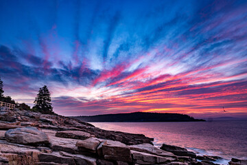 Arcadia national park in Maine coast in summer at sunrise © Jo